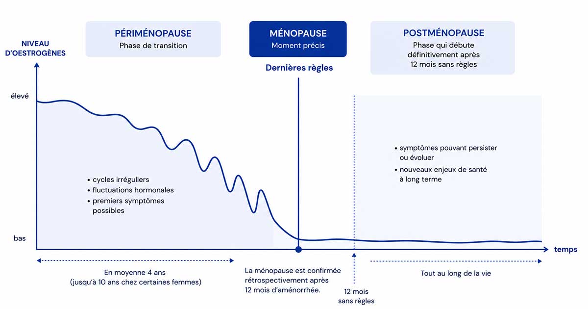 schema 3 phases ménopauses climatère