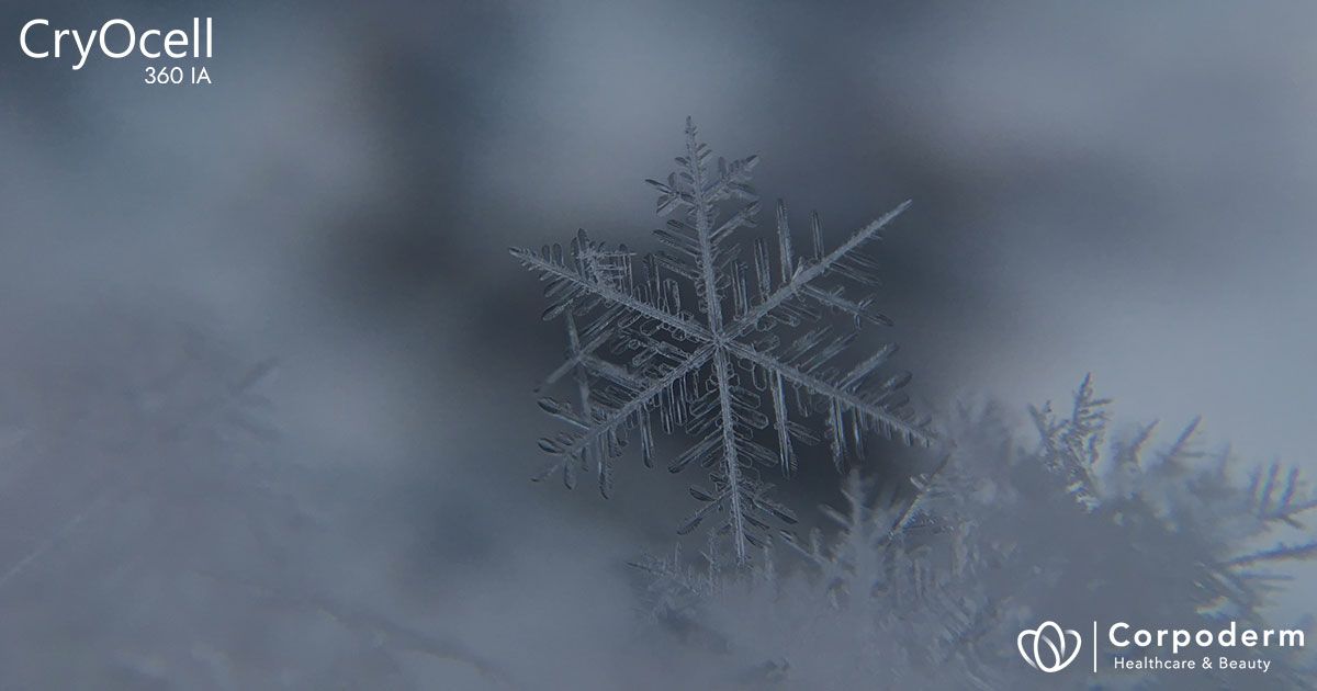 scéance cryolipolyse en institut avec Cryocell