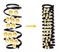 compaction des fibres de collagène sous l'effet des ultrasons basse fréquence