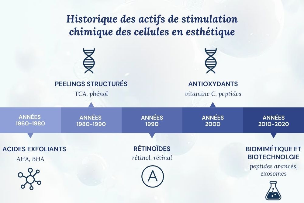 timeline actifs cosmétiques pour la stimulation cellulaire